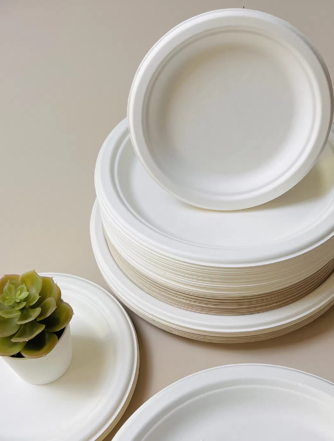 Bagasse products made into containers